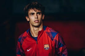 2025 台湾大赛回顾：乐天桃猿 4 胜 1 败击败中信兄弟，夺得乐天接手后首座冠军